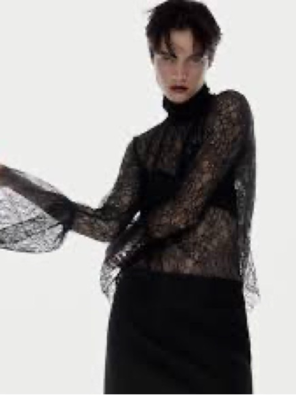 Zara Black Sheer Lace Turtleneck Blouse